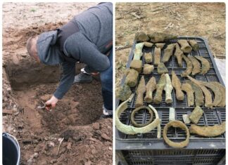 „Tajemnica skarbu Łużyckiego Brązownika” – depozyt sprzed 3 tys. lat! (GALERIA) Skarb odlewnika z Pleśni w województwie Lubuskim