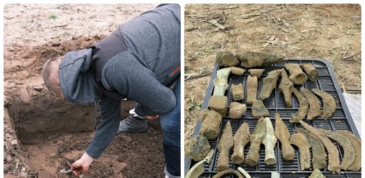 „Tajemnica skarbu Łużyckiego Brązownika” – depozyt sprzed 3 tys. lat! (GALERIA) Skarb odlewnika z Pleśni w województwie Lubuskim