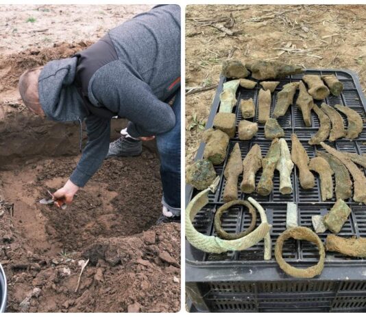 „Tajemnica skarbu Łużyckiego Brązownika” – depozyt sprzed 3 tys. lat! (GALERIA) Skarb odlewnika z Pleśni w województwie Lubuskim