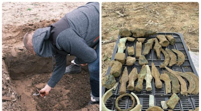 „Tajemnica skarbu Łużyckiego Brązownika” – depozyt sprzed 3 tys. lat! (GALERIA) Skarb odlewnika z Pleśni w województwie Lubuskim