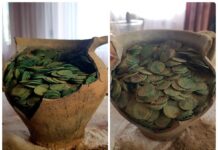 Podlasie. Szukał złomu… odkrył ponad 1000 monet (GALERIA) Skarb szelągów Jana Kazimierza odkryty na Podlasiu