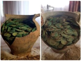 Podlasie. Szukał złomu… odkrył ponad 1000 monet (GALERIA) Skarb szelągów Jana Kazimierza odkryty na Podlasiu