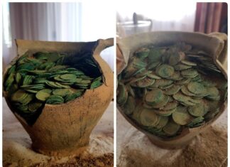 Podlasie. Szukał złomu… odkrył ponad 1000 monet (GALERIA) Skarb szelągów Jana Kazimierza odkryty na Podlasiu