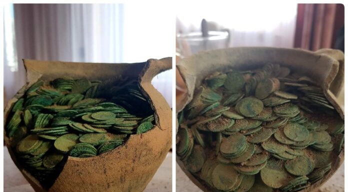 Podlasie. Szukał złomu… odkrył ponad 1000 monet (GALERIA) Skarb szelągów Jana Kazimierza odkryty na Podlasiu