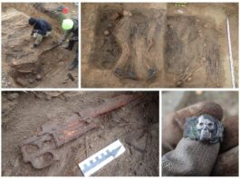 Kujawsko-pomorskie. Ekshumowano 16 niemieckich żołnierzy (GALERIA) Ekshumacja niemieckich żołnierzy w Orzełku