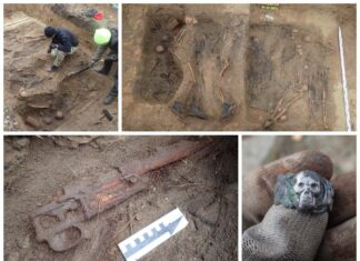 Kujawsko-pomorskie. Ekshumowano 16 niemieckich żołnierzy (GALERIA) Ekshumacja niemieckich żołnierzy w Orzełku