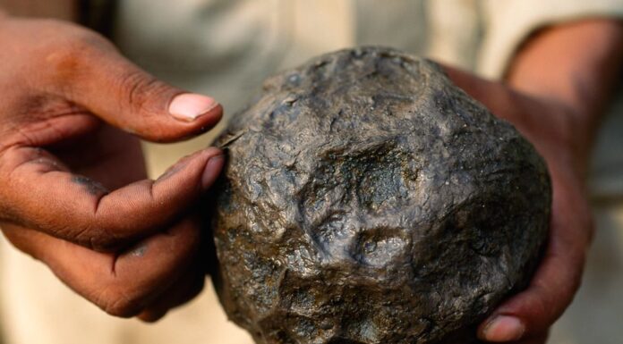 Gumowa piłka do gry sprzed 3,6 tys. lat