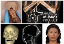 „Mumia Tajemniczej Damy” – wizualizacja, badania i nowe informacje (GALERIA) Mumia Tajemniczej Damy Poznan