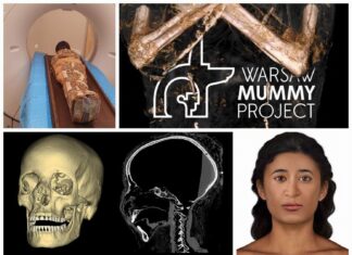 „Mumia Tajemniczej Damy” – wizualizacja, badania i nowe informacje (GALERIA) Mumia Tajemniczej Damy Poznan