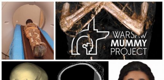„Mumia Tajemniczej Damy” – wizualizacja, badania i nowe informacje (GALERIA) Mumia Tajemniczej Damy Poznan