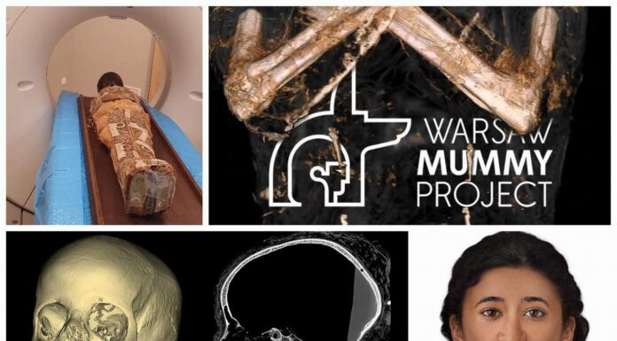 „Mumia Tajemniczej Damy” – wizualizacja, badania i nowe informacje (GALERIA) Mumia Tajemniczej Damy Poznan