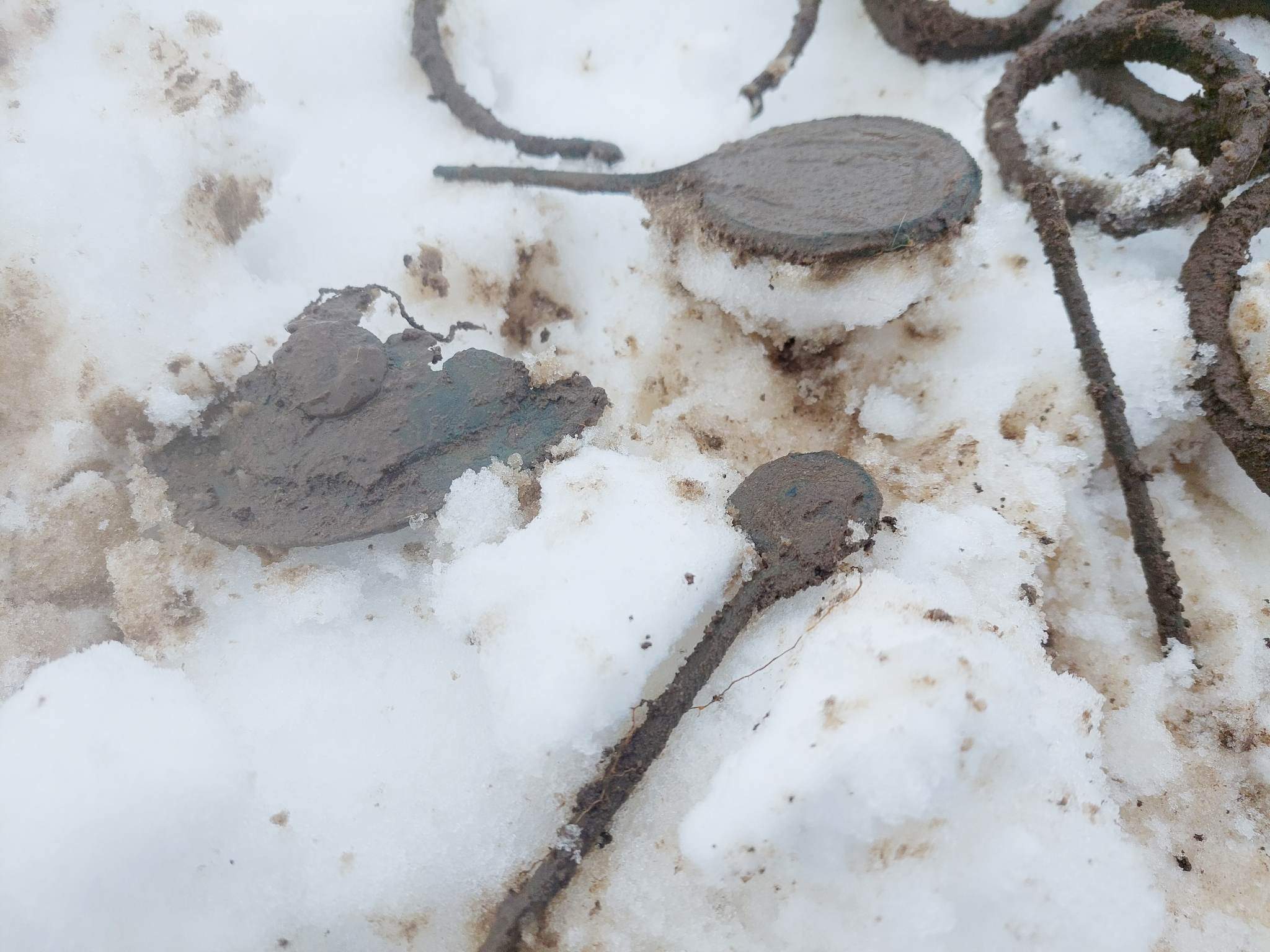 Lubelskie. Skarb ozdób z epoki brązu odkryty przez poszukiwacza (GALERIA +FILM)