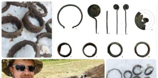 Lubelskie. Skarb ozdób z epoki brązu odkryty przez poszukiwacza (GALERIA +FILM) skarb z epoki brazu