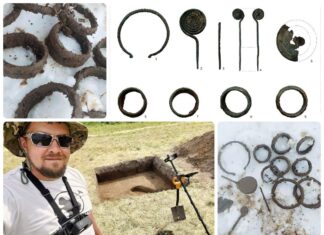 Lubelskie. Skarb ozdób z epoki brązu odkryty przez poszukiwacza (GALERIA +FILM) skarb z epoki brazu