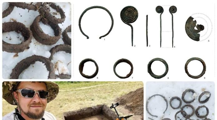 Lubelskie. Skarb ozdób z epoki brązu odkryty przez poszukiwacza (GALERIA +FILM) skarb z epoki brazu