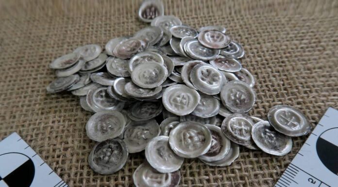 Cenny skarb 150 srebrnych średniowiecznych monet i liczne artefakty… Warmińsko-mazurskie "Pompeje" oddały skarb średniowiecznych monet.