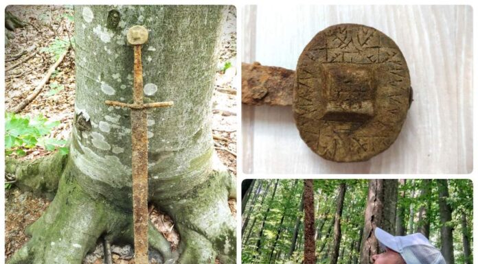 Świetnie zachowany średniowieczny miecz z runami odkryty wykrywaczem (GALERIA) Średniowieczny miecz odkryty w Rumunii