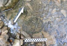 Naszyjnik sprzed naszej ery – kolejne znalezisko z okolicy Dukli! Naszyjnik z brązu