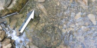 Naszyjnik sprzed naszej ery – kolejne znalezisko z okolicy Dukli! Naszyjnik z brązu