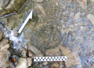 Naszyjnik sprzed naszej ery – kolejne znalezisko z okolicy Dukli! Naszyjnik z brązu