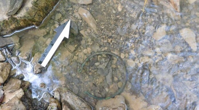 Naszyjnik sprzed naszej ery – kolejne znalezisko z okolicy Dukli! Naszyjnik z brązu