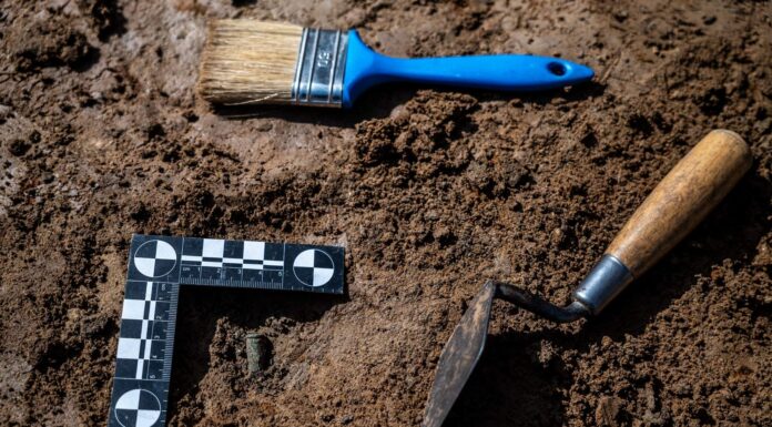 Kolejny masowy grób odkryty w „Dolinie Śmierci”
