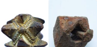 Dwie średniowieczne buławy przekazane do WKZ w Lublinie – jedna odkryta na złomie!