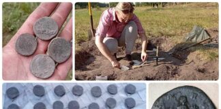 Skarb ogromnych rzymskich sesterców odkryty w Borach Tucholskich (GALERIA) Skarb rzymskich sestercji - monet z brązu