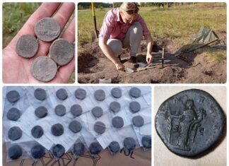 Skarb ogromnych rzymskich sesterców odkryty w Borach Tucholskich (GALERIA) Skarb rzymskich sestercji - monet z brązu