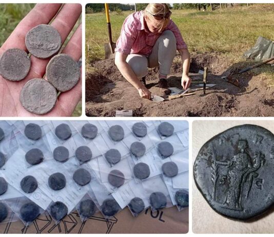 Skarb ogromnych rzymskich sesterców odkryty w Borach Tucholskich (GALERIA) Skarb rzymskich sestercji - monet z brązu