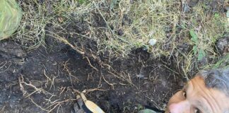 Szabla jednego z obrońców Helu odkryta w lesie! (GALERIA +FILM) Mateusz Deling z Tank Hunter wraz z odkrytą Polską szablą wz 34