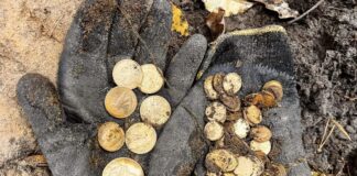 Skarb 70 złotych monet odkryty pod Szczecinem! (GALERIA +FILM)