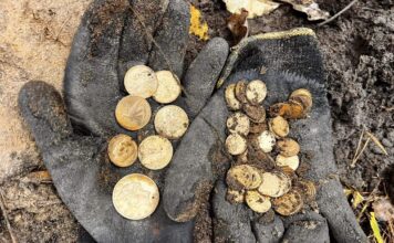 Skarb 70 złotych monet odkryty pod Szczecinem! (GALERIA +FILM)