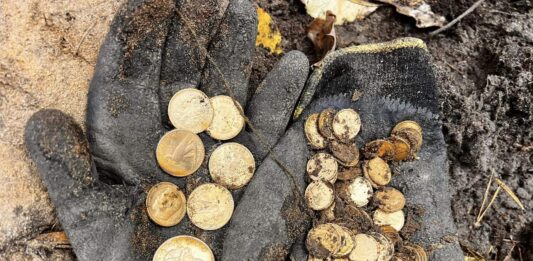 Skarb 70 złotych monet odkryty pod Szczecinem! (GALERIA +FILM)