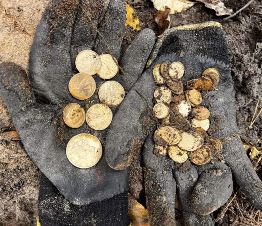 Skarb 70 złotych monet odkryty pod Szczecinem! (GALERIA +FILM)