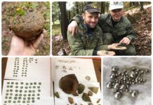 Skarb srebrnych monet jagiellońskich i biżuterii odkryty w sądeckim lesie (GALERIA)