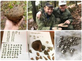 Skarb srebrnych monet jagiellońskich i biżuterii odkryty w sądeckim lesie (GALERIA)