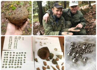 Skarb srebrnych monet jagiellońskich i biżuterii odkryty w sądeckim lesie (GALERIA)
