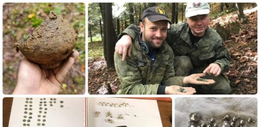 Skarb srebrnych monet jagiellońskich i biżuterii odkryty w sądeckim lesie (GALERIA)