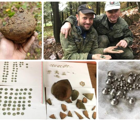 Skarb srebrnych monet jagiellońskich i biżuterii odkryty w sądeckim lesie (GALERIA)