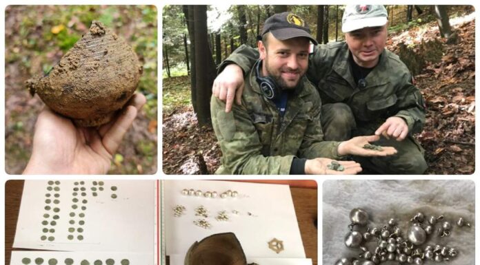 Skarb srebrnych monet jagiellońskich i biżuterii odkryty w sądeckim lesie (GALERIA)