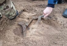 Topory z epoki brązu odkryte w lesie na Pomorzu (GALERIA +FILM) Topory z epoki brązu "in situ"