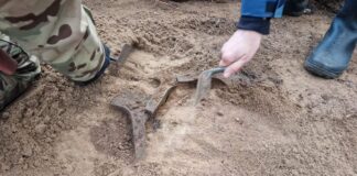 Topory z epoki brązu odkryte w lesie na Pomorzu (GALERIA +FILM) Topory z epoki brązu "in situ"