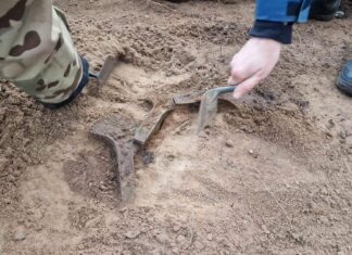 Topory z epoki brązu odkryte w lesie na Pomorzu (GALERIA +FILM) Topory z epoki brązu "in situ"