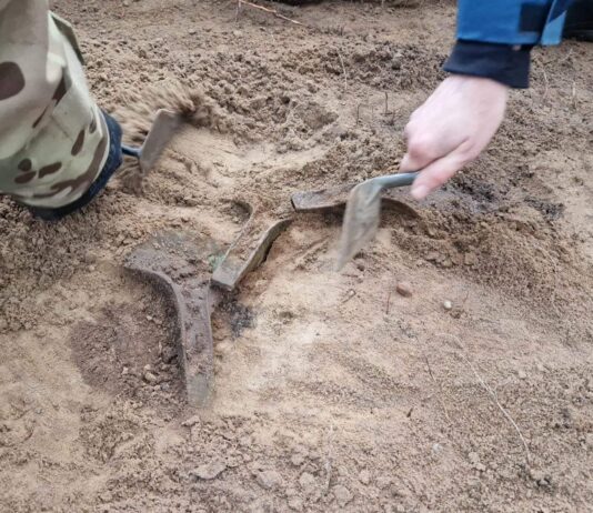 Topory z epoki brązu odkryte w lesie na Pomorzu (GALERIA +FILM) Topory z epoki brązu "in situ"