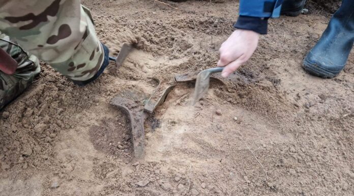 Topory z epoki brązu odkryte w lesie na Pomorzu (GALERIA +FILM) Topory z epoki brązu "in situ"