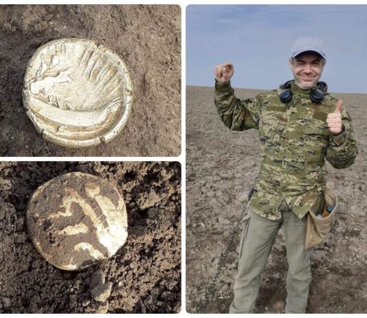 Niezwykle rzadki złoty celtycki stater odkryto niedaleko Opatowa (GALERIA)