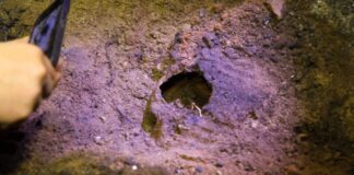 Wilczy Szaniec. Szokujące odkrycie pod podłogą Göringa! (FILM)