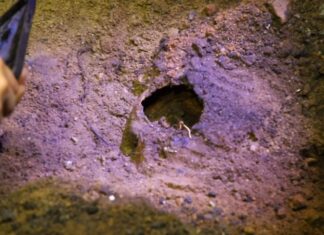 Wilczy Szaniec. Szokujące odkrycie pod podłogą Göringa! (FILM)