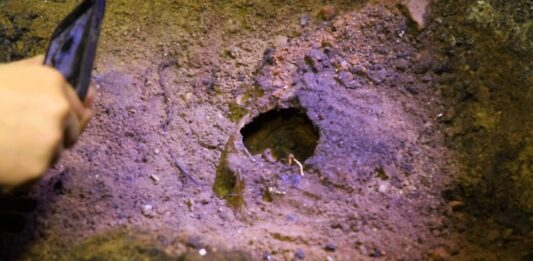 Wilczy Szaniec. Szokujące odkrycie pod podłogą Göringa! (FILM)